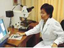 XT MILL ROLLS NORTH AMERICA